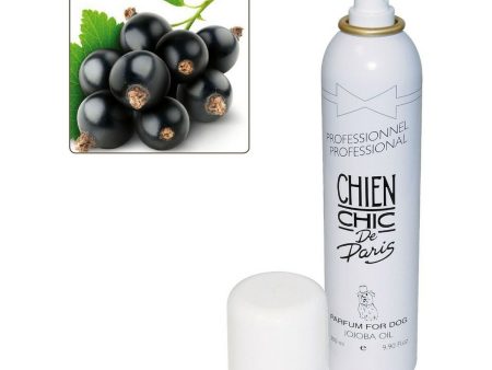 Kisállat Parfüm Chien Chic Kutya Spray Fekete (300 ml) Online Hot Sale